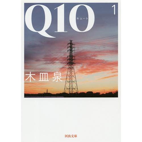 Q10(キュート) 1/木皿泉