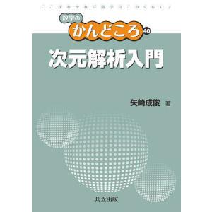 次元解析入門/矢崎成俊