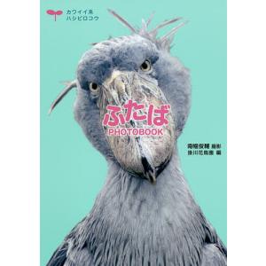 ふたばPHOTOBOOK カワイイ系ハシビロコウ/南幅俊輔/掛川花鳥園｜boox