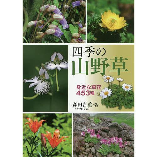 四季の山野草 身近な草花453種/森田吉重