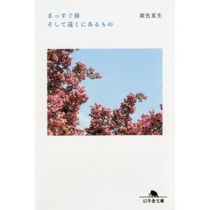 まっすぐ前そして遠くにあるもの/銀色夏生