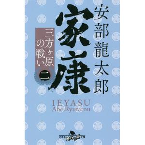 家康　２/安部龍太郎