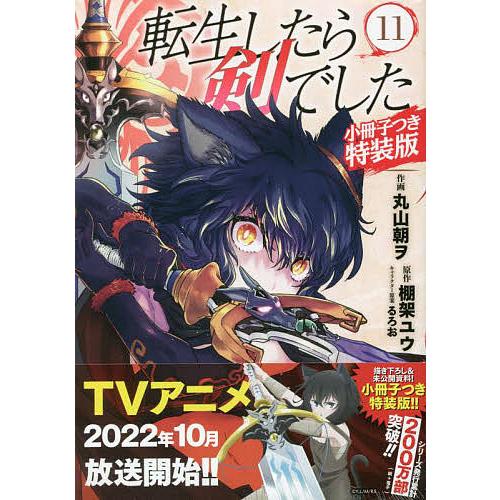 特装版 転生したら剣でした 11/丸山朝ヲ/棚架ユウ