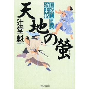 天地の螢/辻堂魁