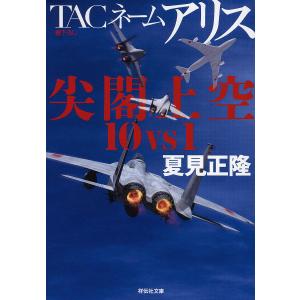 TACネームアリス尖閣上空１０vs１/夏見正隆