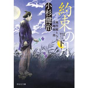 約束の月 下/小杉健治