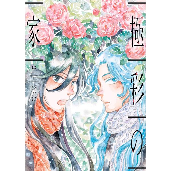 極彩の家 12/びっけ