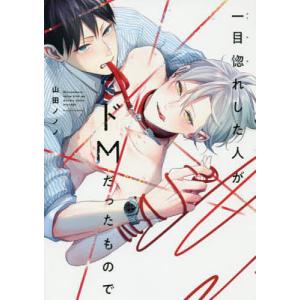 一目惚れした人がドMだったもので/山田ノノノ