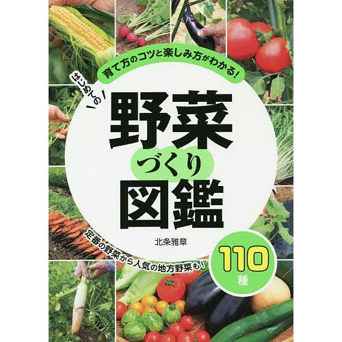 はじめての野菜づくり図鑑110種 育て方のコツと楽しみ方がわかる!/北条雅章
