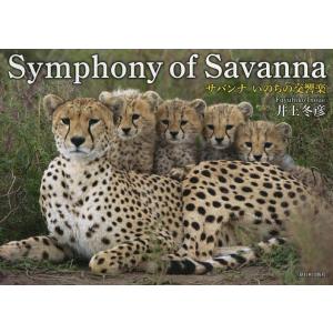 Symphony of Savanna サバンナいのちの交響楽/井上冬彦｜boox
