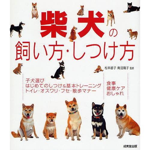 柴犬の飼い方・しつけ方
