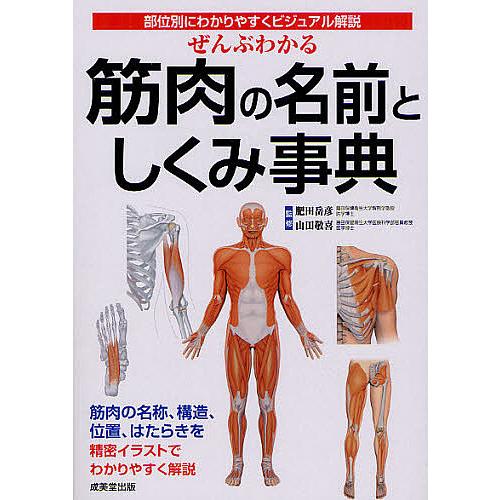 ぜんぶわかる筋肉の名前としくみ事典 部位別にわかりやすくビジュアル解説/肥田岳彦/山田敬喜