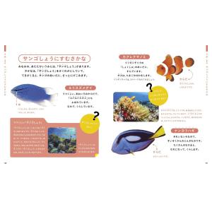 じぶんでよめるさかなずかん 対象年齢3〜6歳 ...の詳細画像1
