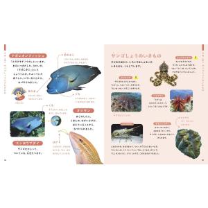 じぶんでよめるさかなずかん 対象年齢3〜6歳 ...の詳細画像3