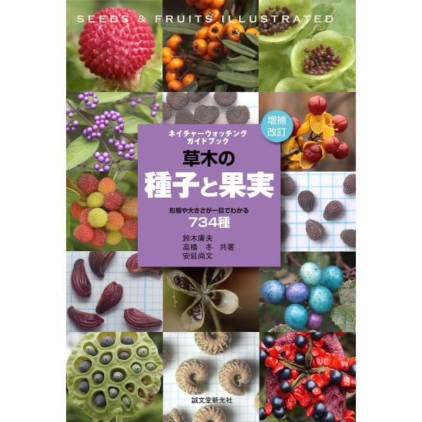 草木の種子と果実 形態や大きさが一目でわかる734種/鈴木庸夫/高橋冬/安延尚文