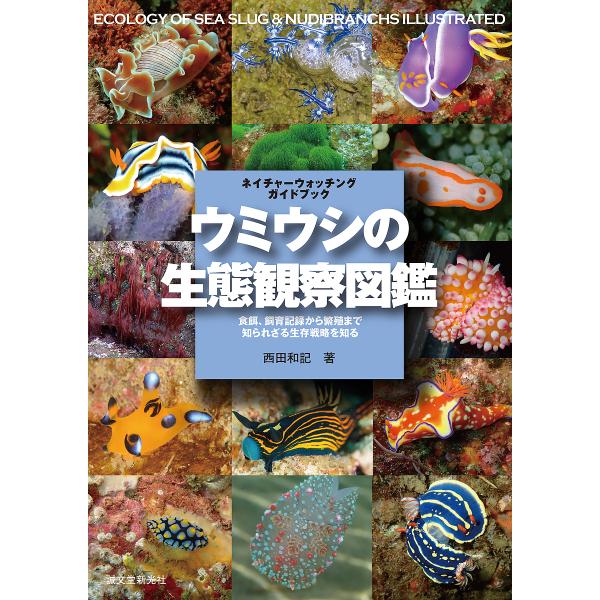〔予約〕ウミウシの生態観察図鑑 /西田和記