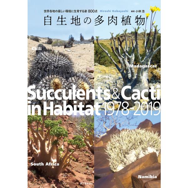自生地の多肉植物 世界各地の厳しい環境に生育する姿800点/小林浩