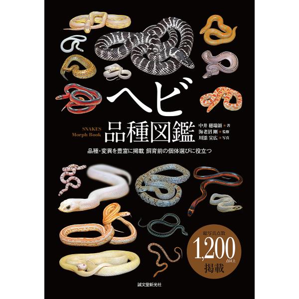 ヘビ品種図鑑 品種・変異を豊富に掲載飼育前の個体選びに役立つ/中井穂瑞領/海老沼剛/川添宣広