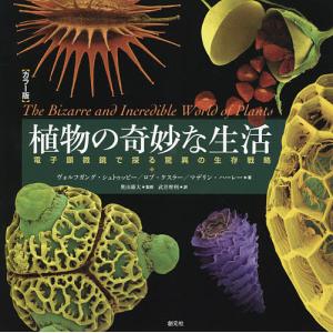 植物の奇妙な生活 カラー版 電子顕微鏡で探る驚異の生存戦略/ヴォルフガング・シュトゥッピー/ロブ・ケスラー/マデリン・ハーレー｜boox