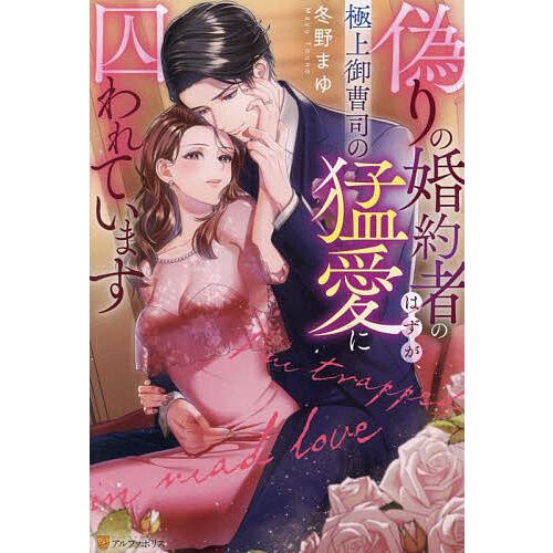 偽りの婚約者のはずが、極上御曹司の猛愛に囚われています/冬野まゆ