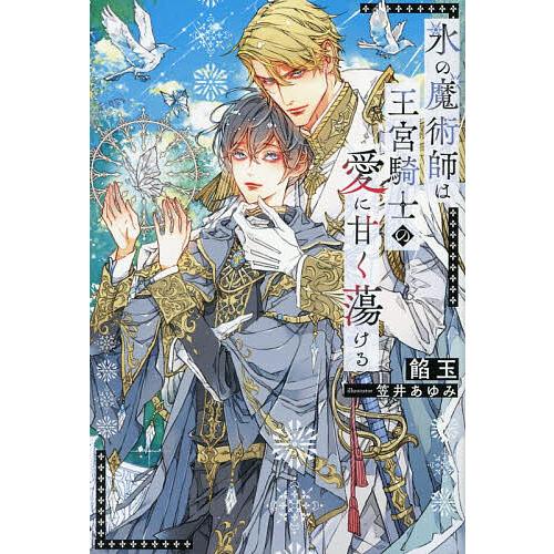 氷の魔術師は王宮騎士の愛に甘く蕩ける/餡玉