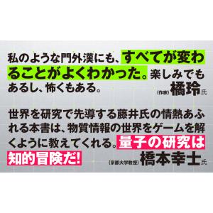 教養としての量子コンピュータ/藤井啓祐の詳細画像2