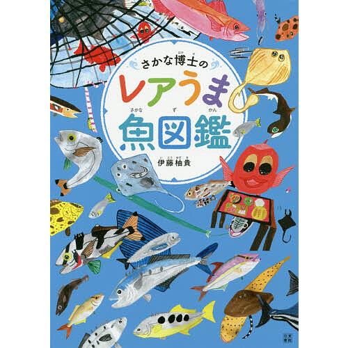 さかな博士のレアうま魚図鑑/伊藤柚貴