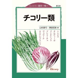 チコリー類 トレビス・タルディーボ・プンタレッラ・プレコーチェ・ヴェローナ・カステルフランコ/山村真弓/澤里昭寿