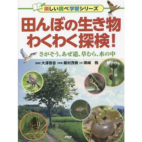 田んぼの生き物わくわく探検! さがそう、あぜ道、草むら、水の中/大澤啓志/飯村茂樹/岡崎務