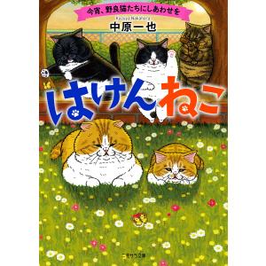 〔〕はけんねこ　〜今宵、野良猫たちにしあわせを〜　/中原一也/KORIRI