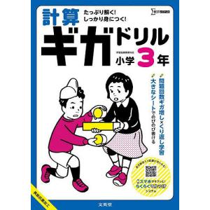 計算ギガドリル小学3年
