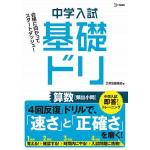 中学入試基礎ドリ算数〈頻出小問〉