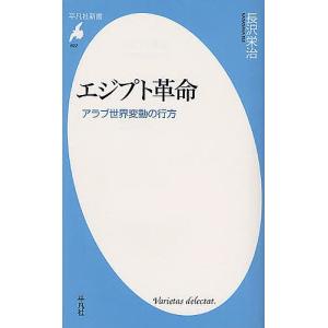 エジプト革命 アラブ世界変動の行方/長沢栄治｜boox