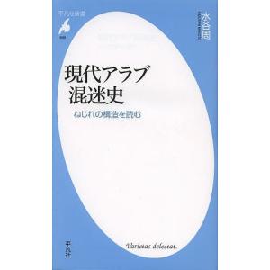 現代アラブ混迷史 ねじれの構造を読む/水谷周｜boox