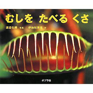 むしをたべるくさ/渡邉弘晴/伊地知英信/子供/絵本