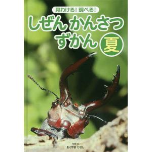 しぜんかんさつずかん 見わける!調べる! 夏/おくやまひさし｜boox