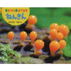 もりのほうせきねんきん/新井文彦/子供/絵本