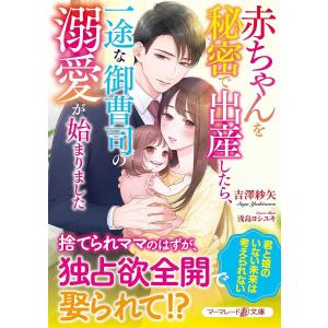 赤ちゃんを秘密で出産したら、一途な御曹司の溺愛が始まりました/吉澤紗矢｜boox