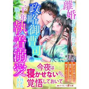 気高き社長令嬢の愛され政略結婚 /水十草