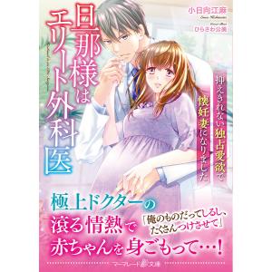 旦那様はエリート外科医 〔2〕/小日向江麻