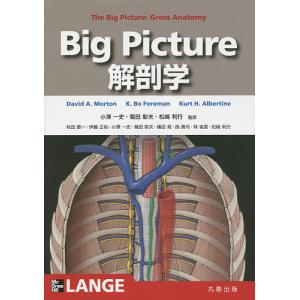Big Picture解剖学/DavidA．Morton/K．BoForeman/KurtH．Albertine｜boox