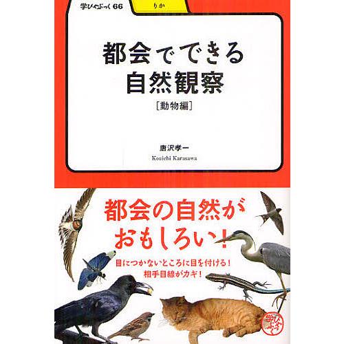 都会でできる自然観察 動物編/唐沢孝一