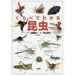 くらべてわかる昆虫　識別ポイントで見分ける/永幡嘉之/・写真奥山清市