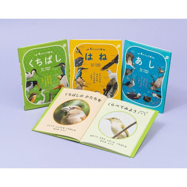 鳥のふしぎ いろいろなすがたをしているのはなぜ? 3巻セット/平野敏明
