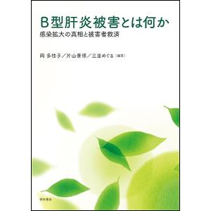 B型肝炎被害とは何か 感染拡大の真相と被害者救済/岡多枝子/片山善博/三並めぐる