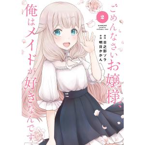 〔〕ごめんなさいお嬢様、俺はメイドが好き 2