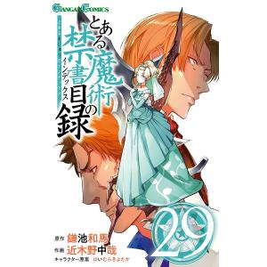 とある魔術の禁書目録(インデックス) 29/鎌池和馬/近木野中哉｜boox