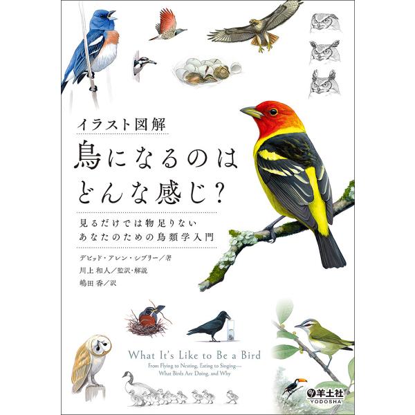 イラスト図解鳥になるのはどんな感じ? 見るだけでは物足りないあなたのための鳥類学入門/デビッド・アレ...