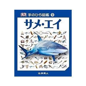 サメ・エイ/トレヴァー・デイ/伊藤伸子