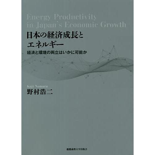 日本の経済成長とエネルギー 経済と環境の両立はいかに可能か/野村浩二